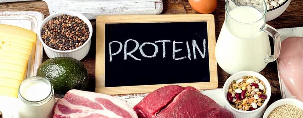 The Importance of High-Quality Protein - and How it Can Benefit You
