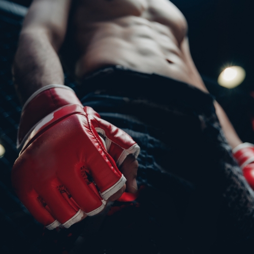 MMA-The-FItness-Lab-Highlands-Ranch-Parker-Denver-Greenwood-Village-CO