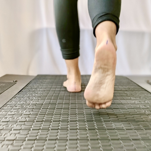 balance-and-gait-disorders-The-FItness-Lab-Highlands-Ranch-Parker-Denver-Greenwood-Village-CO