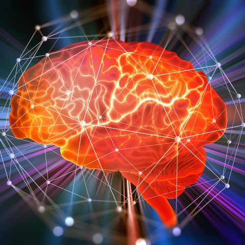 The-FItness-Lab-Highlands-Ranch-Parker-Denver-Greenwood-Village-CO